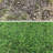 ColourTree UV Resistant Artificial Grass