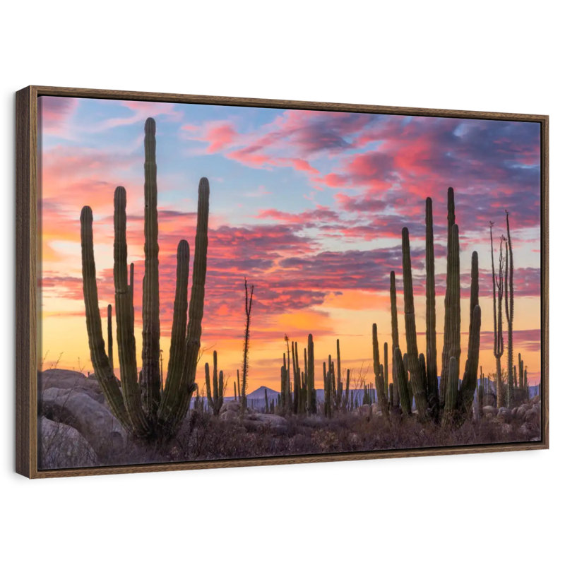 Lever de soleil de Baja California, Cadre flottant noyer, 31 po x 21 po