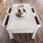 Table basse à 4 pieds avec rangement Dachy