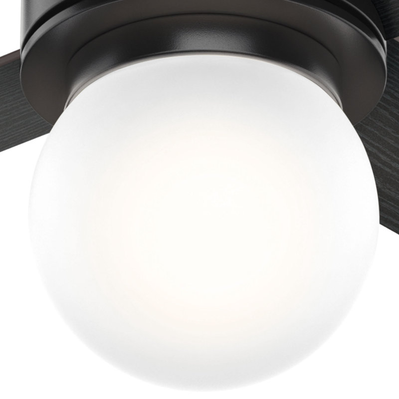 52" Matte Black Ceiling Fan with Globe Light and Wall Control