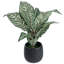 Artificial Plant