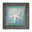 « encadrement sea star white star », reproduction d’impression sur toile tendue-26852890