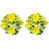 Yellow selected