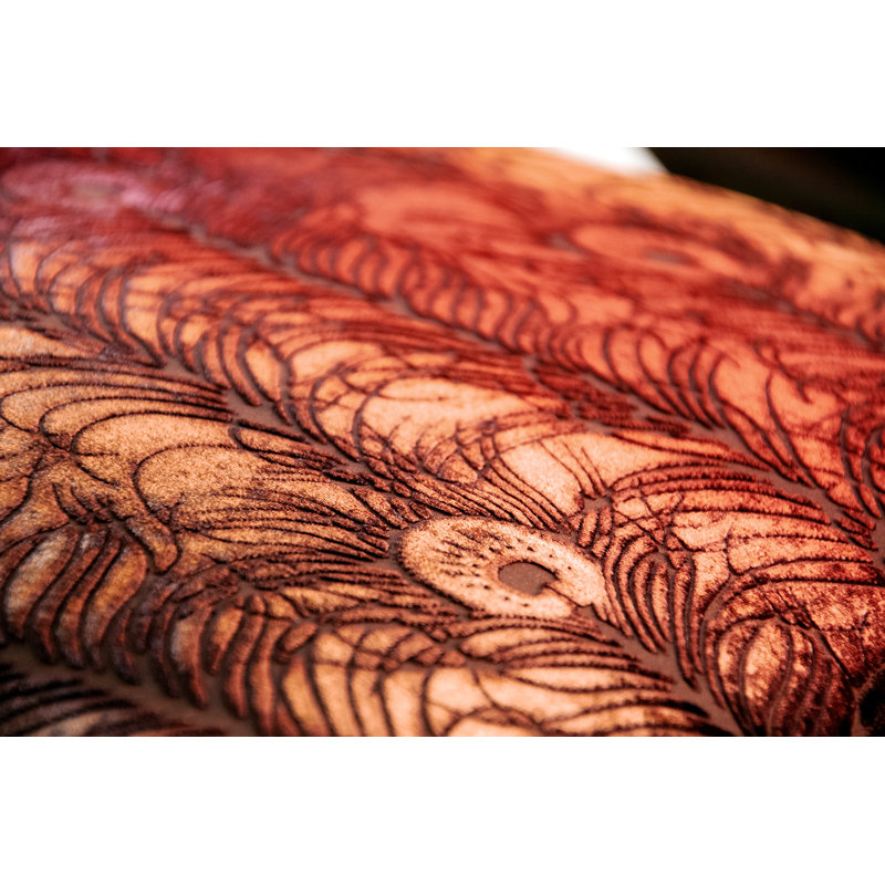 Peacock Feather Square Velvet Pillow Cover & Insert, Square 18", Paprika