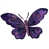 Purple selected