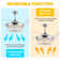 Dixxon 42'' Ceiling Fan with LED Lights
