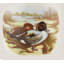 Spode Woodland Mug 16 Oz Pintail