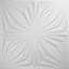 Panneau mural blanc 19,625 "H x 19,625"