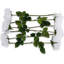 Tige de roses-980536201