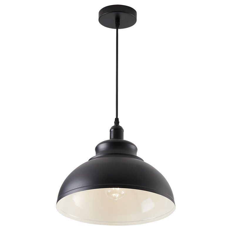 Luminaire suspendu simple à 1 lumière Wirrida