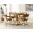 Resendez Crissman Polyurethane Upholstered Back Arm Chair