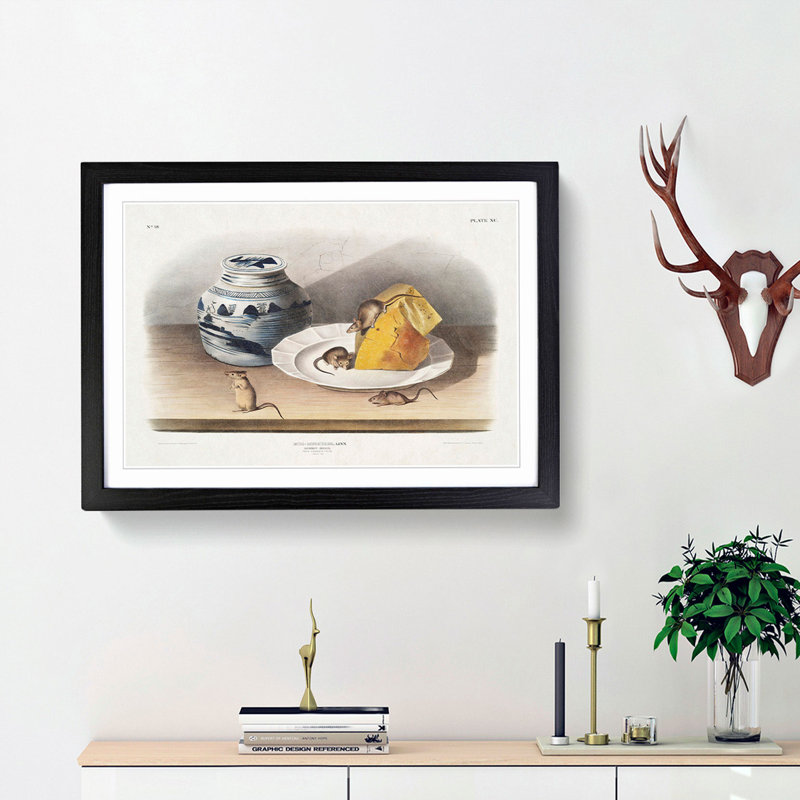Mice by J.W. Audubon - Framed Print, 36cm H x 48cm W x 2cm D, Black Framed