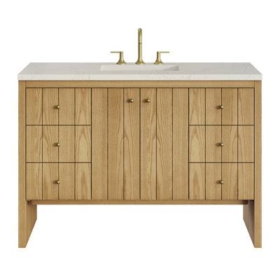 Hudson 48'' Single Bathroom Vanity