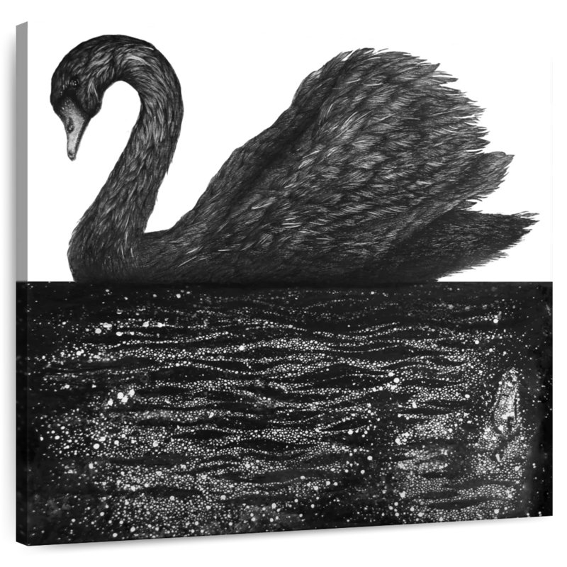 Brampt Black Swan Reflection, 33" H x 33" W