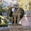 Statue gargouille Sentinels Boden