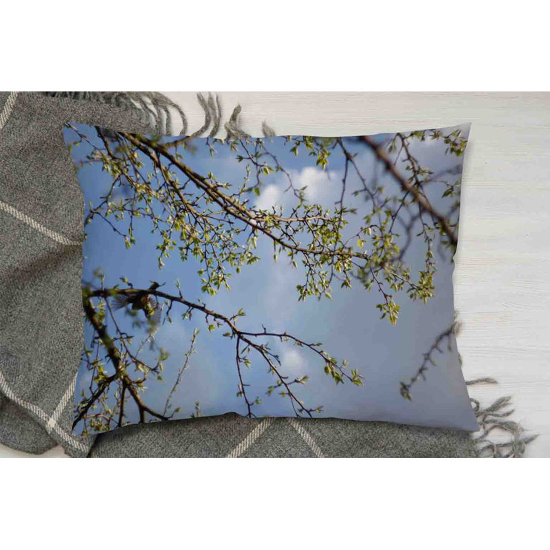 Cushion