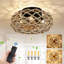 Ventilateur de plafond 3 lumières
