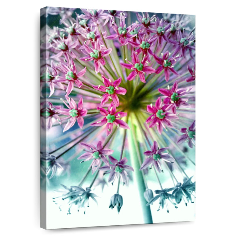 Harnek rose allium turquoise, H 30 po x l 20 po
