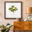 «Pressed Clover I», reproduction encadrée de qualité supérieure - prête à être accrochée-1872520561-1872557682-1872557685