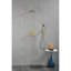 Ensemble de douche mural 10 po-114230437