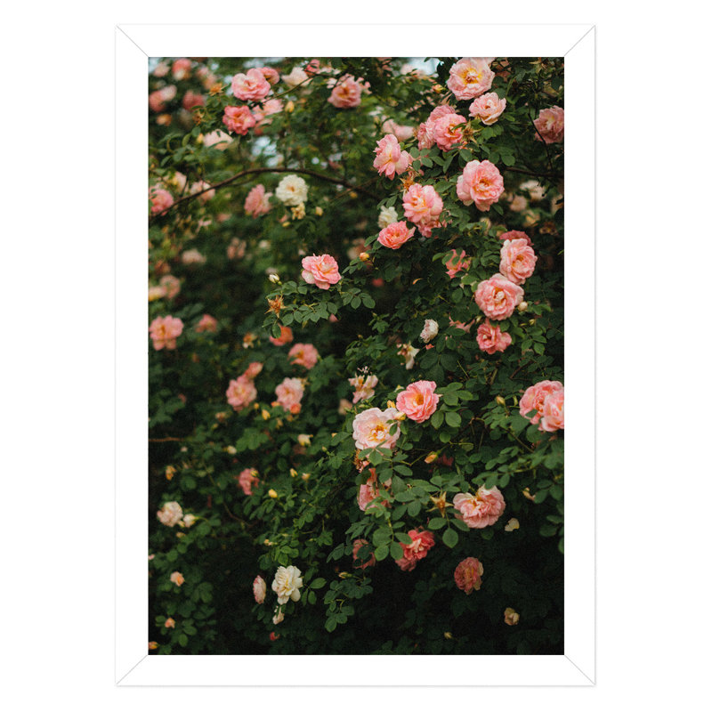 Cadre photo Treymaine , Blanc, 8 po x 20 po