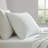 Martha Stewart Ditsy Vine Cotton Percale Green Sheet Set-116668769-115629657