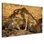 Print on Canvas-25158348