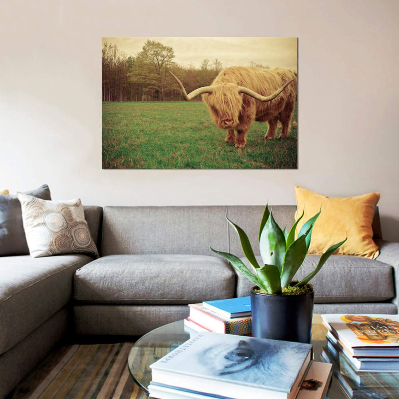Portrait Of A Scottish Highland Steer by Olivia Joy StClaire - Wrapped Canvas Print, 66.04 cm H x 45.72 cm W x 1.91 cm D