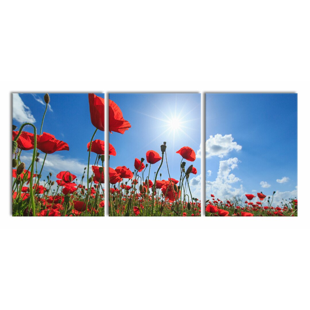 3-tlg. Leinwandbilder-Set Poppy