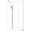 20 pièces de fleurs de lys Calla-945559912