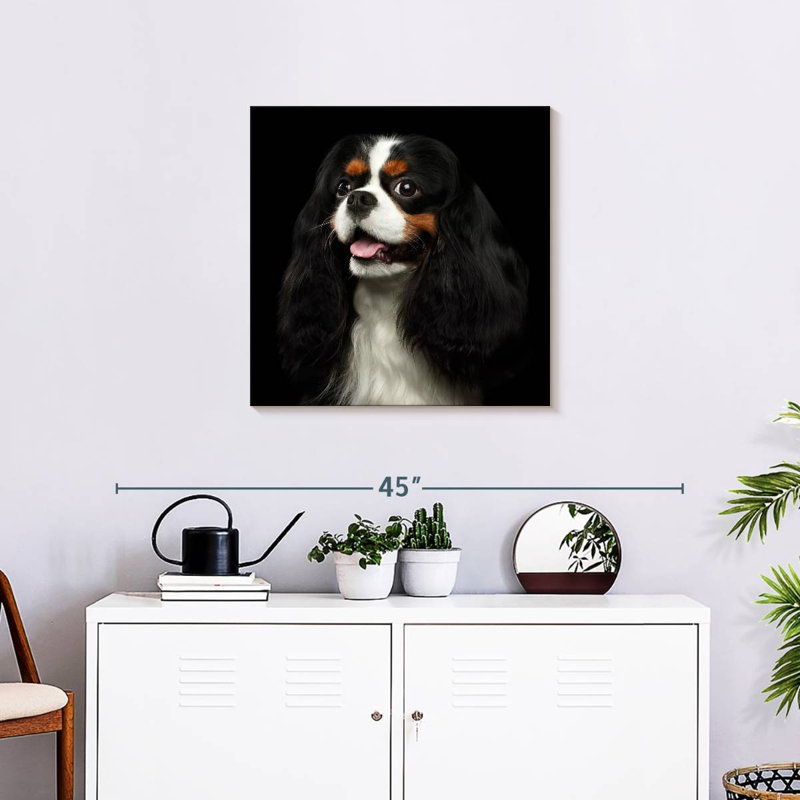 Crowle King Charles Spaniel Pup, 24" H x 24" W