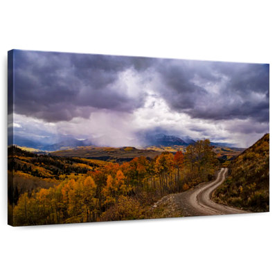 Roadside Aspen Trees