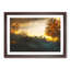 Sheep in Sweden in Abstract - Picture Frame Graphic Art Print-55764627-55764626