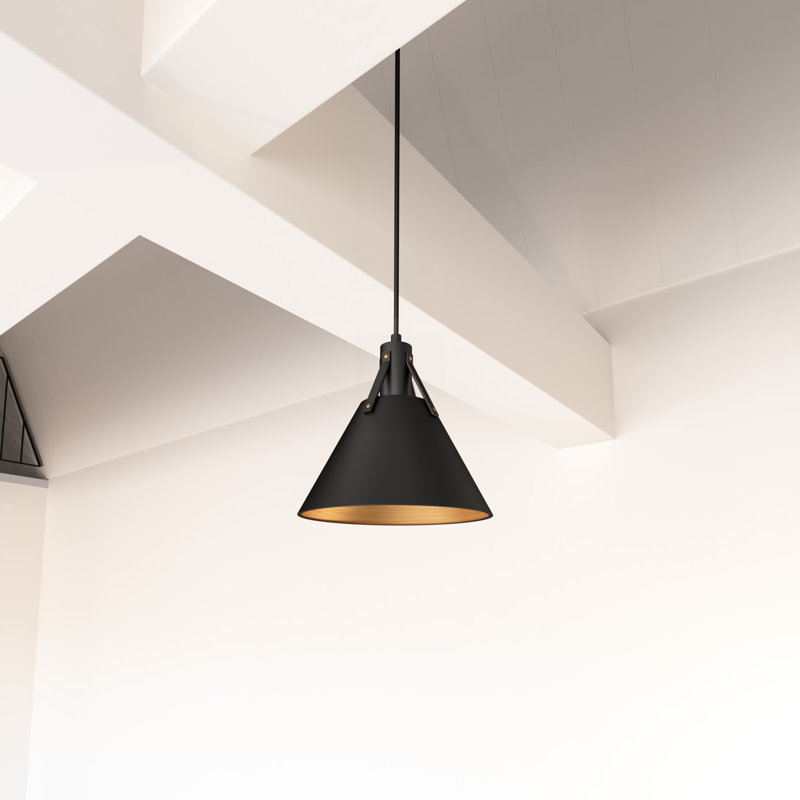 Luminaire suspendu conique à 1 lumière Archer, Noir mat