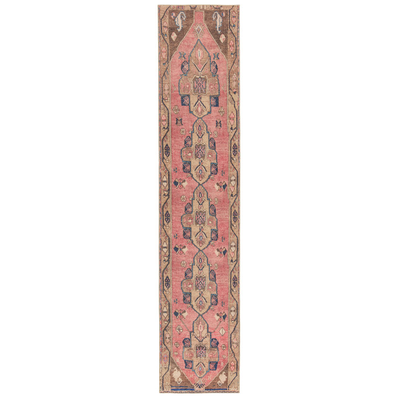 Asuncin Polyester Machine Washable Performance Rug, Runner 2'6" x 12'