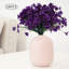 Tiges Delphinium