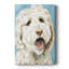 Toile tendue avec châssis de qualité supérieure Labradoodle II - Prêt à être accroché-1263312143