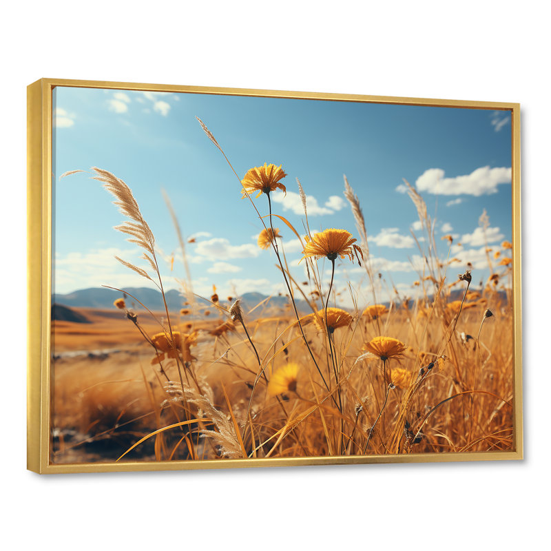 Coucher de soleil, fleurs d'été, prés, Cadre flottant doré, 16" H x 32" W