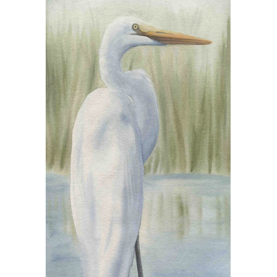 «Adithri Dreams Of Egrets II» sur toile par Grace Popp