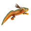 Axolotl Copal Alebrije