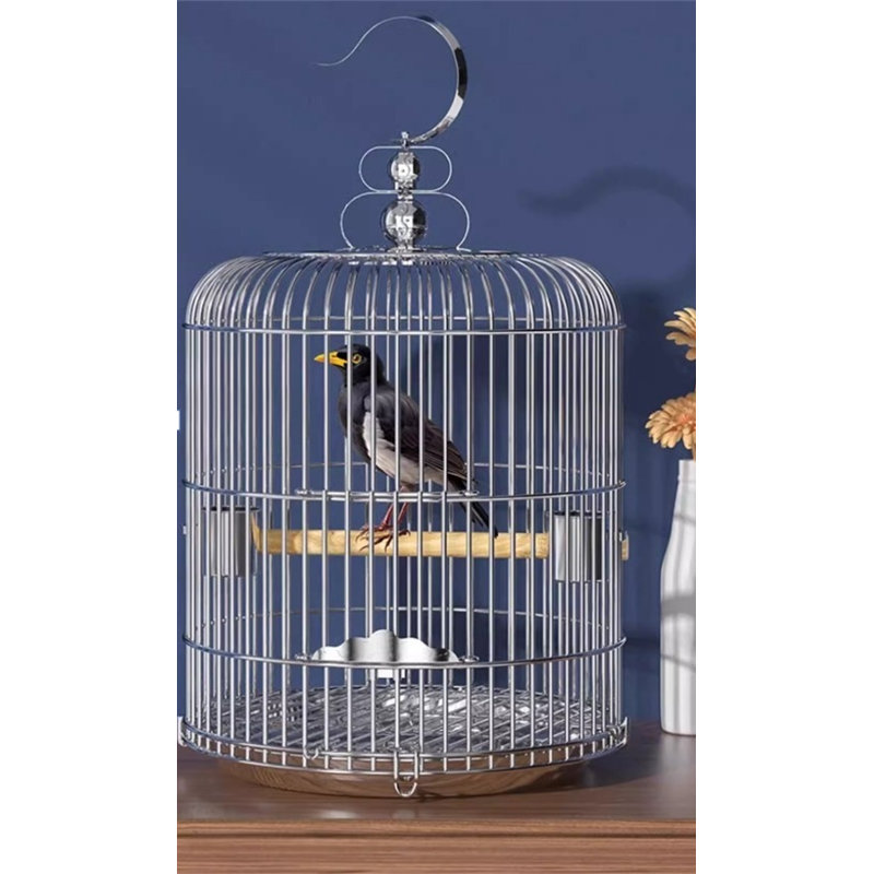 Cage à oiseaux Becontree, H 24,4 po x l 14,96 po x P 14,96 po