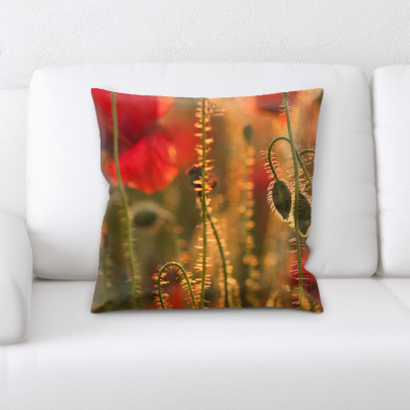 Coussin de jeté
