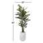 Faux Bamboo Tree in Planter