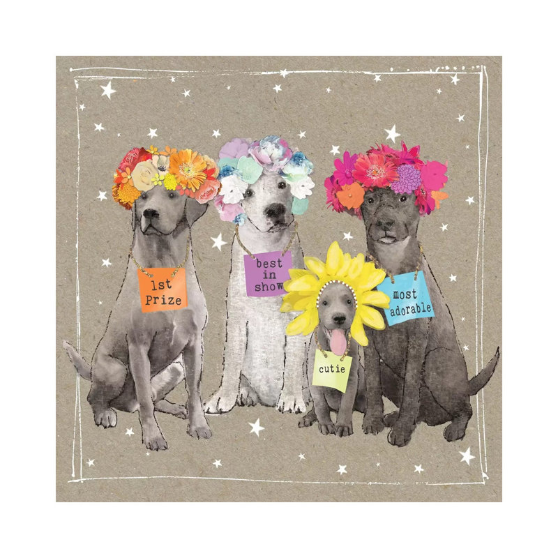 Fancypants Wacky Dogs V by Hammond Gower - Wrapped Canvas Print, 30.48 cm H x 30.48 cm W