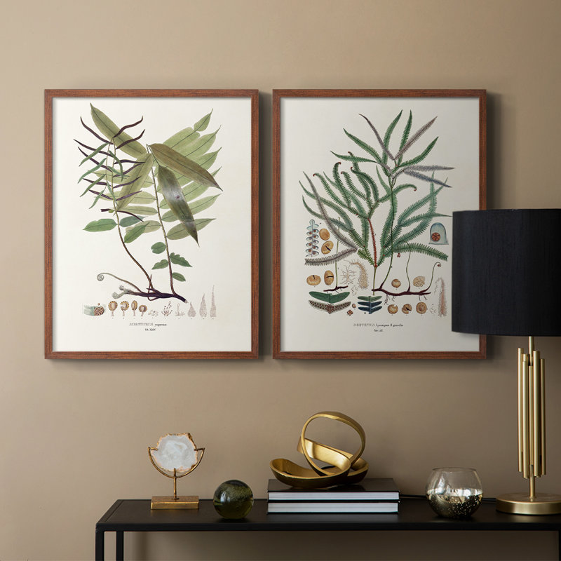 «Botanical Society Ferns VI», reproduction encadrée de qualité supérieure - prête à être accrochée - aucun clou requis - aucun clou requis