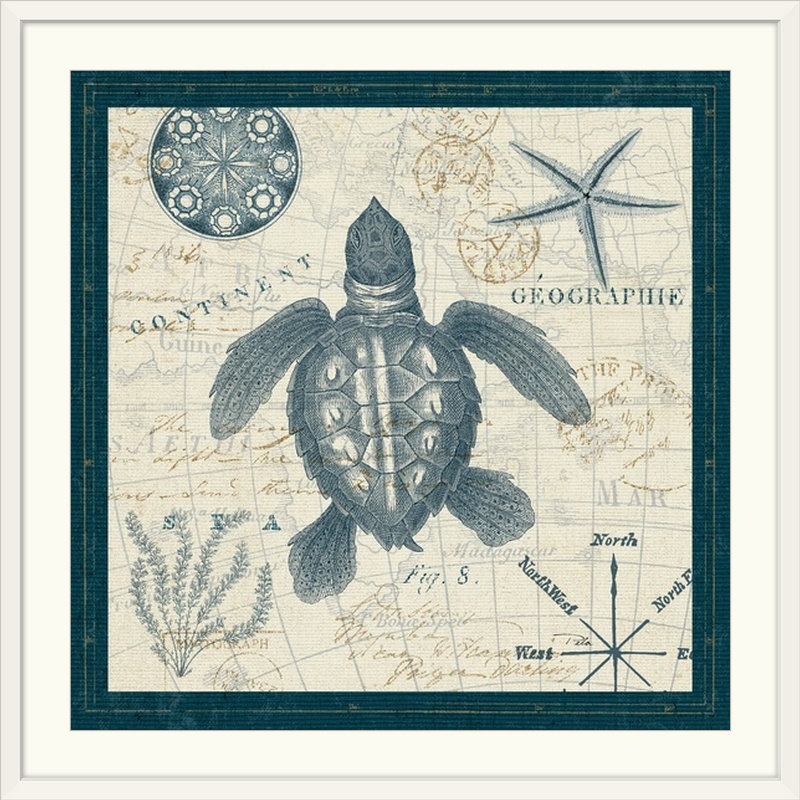 «ocean life vi, impression, Cadre blanc, H 32 po x l 32 po x P 1 po