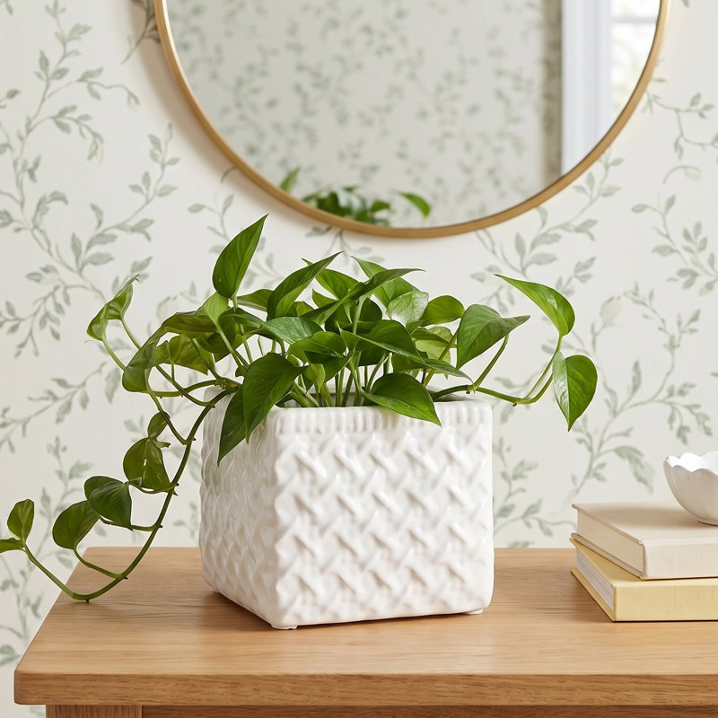 LOLA SQUARE CACHEPOT SMALL