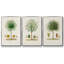 Ensemble de 3 pièces encadrées sur toile Antique-97759517-97759516