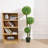 Faux Boxwood Topiary in Pot