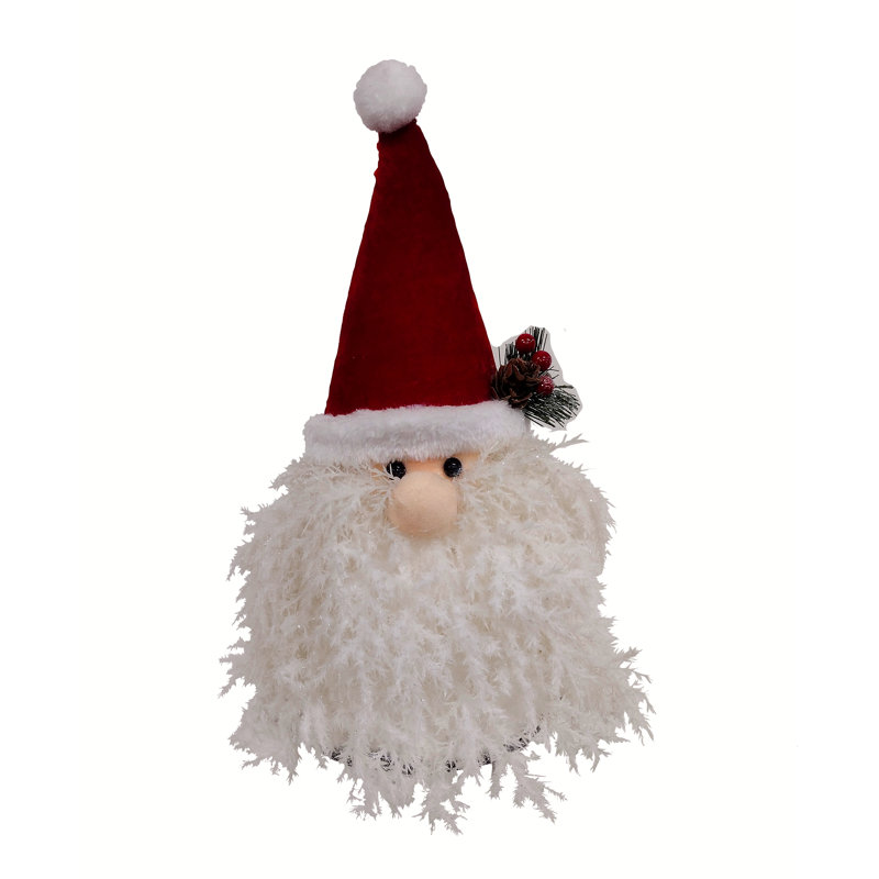 Père Noël barbe étincelante